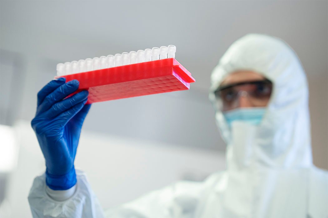 Ébola: el virus que el mundo temía